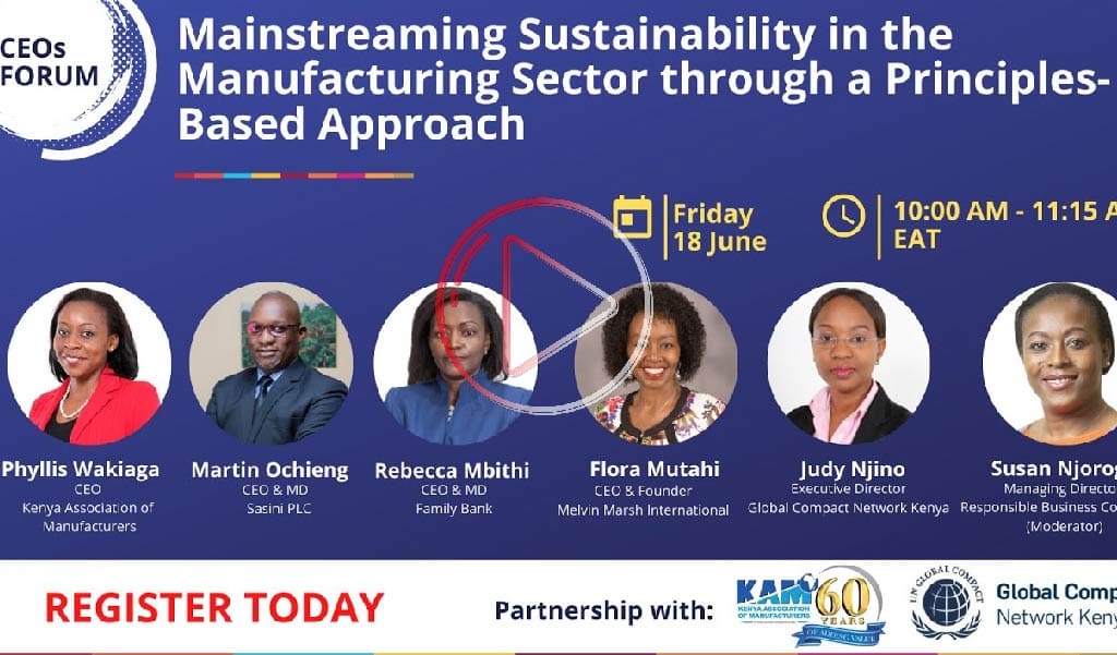 CEOs Forum: Mainstreaming Sustainability in Manufacturing Sector through a Principle Based Approach